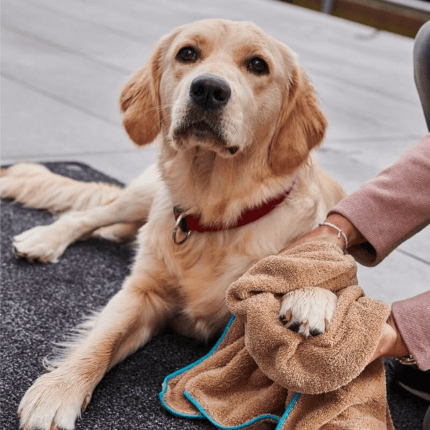 Il prodotto è mostrato in un’applicazione esemplare