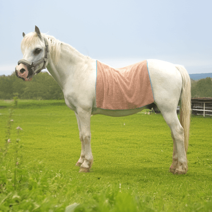 Il prodotto è mostrato in un’applicazione esemplare