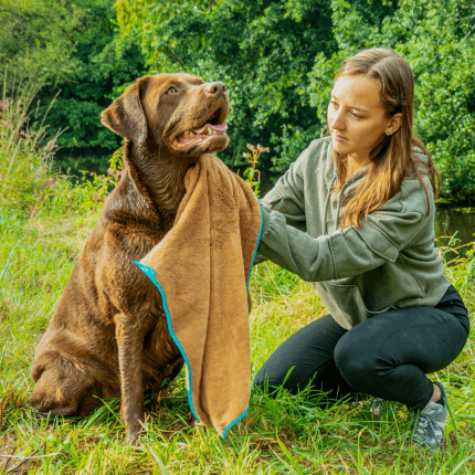 Il prodotto è mostrato in un’applicazione esemplare