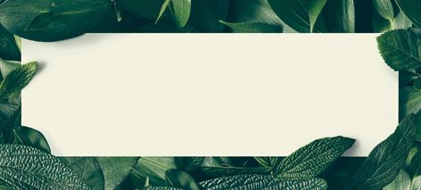 Umweltschutz mit JEMAKO