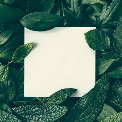 Umweltschutz mit JEMAKO